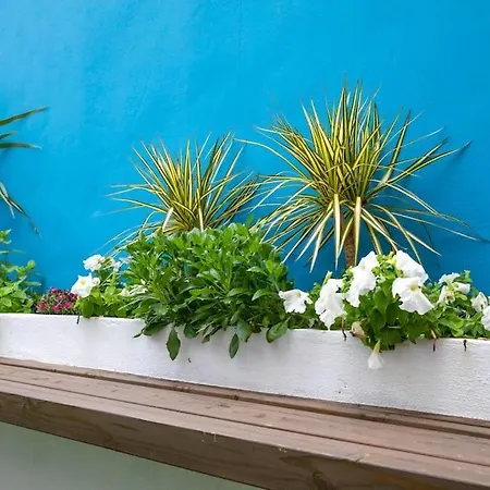 El Merendero Apartamento Ateca